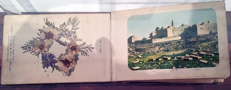 Herbarium from Jerusalem